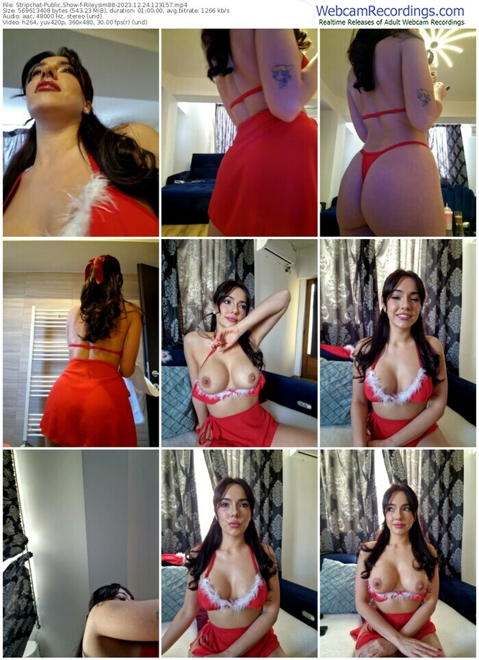 stripchat-rileysim88-12-24-2023-12-31-57