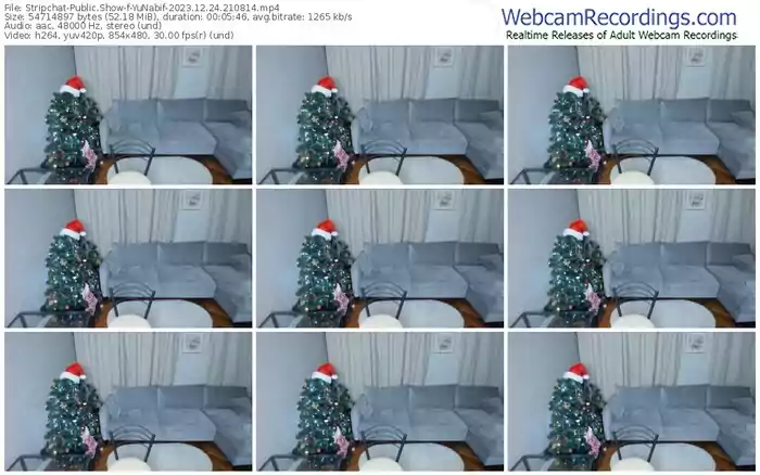 stripchat-yunabif-12-24-2023-21-08-14