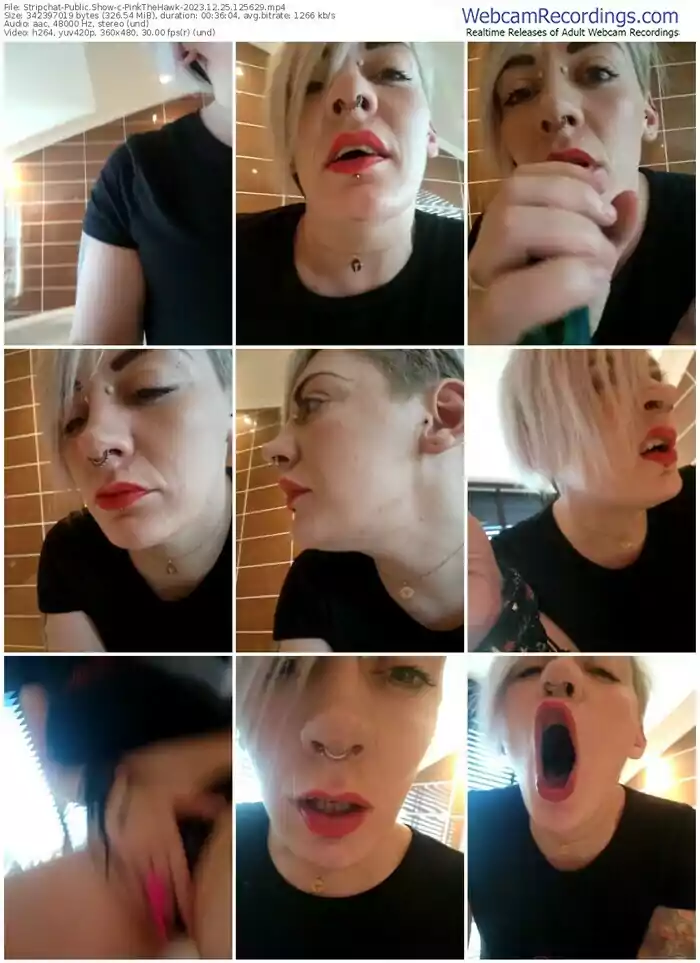 stripchat-pinkthehawk-12-25-2023-12-56-29