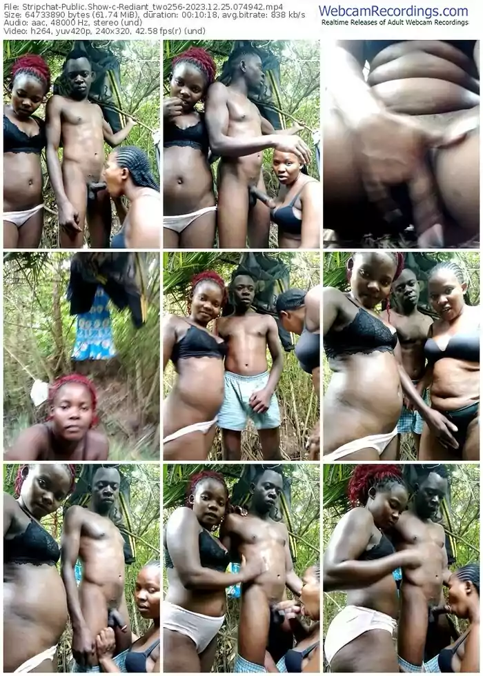 stripchat-rediant_two256-12-25-2023-07-49-42