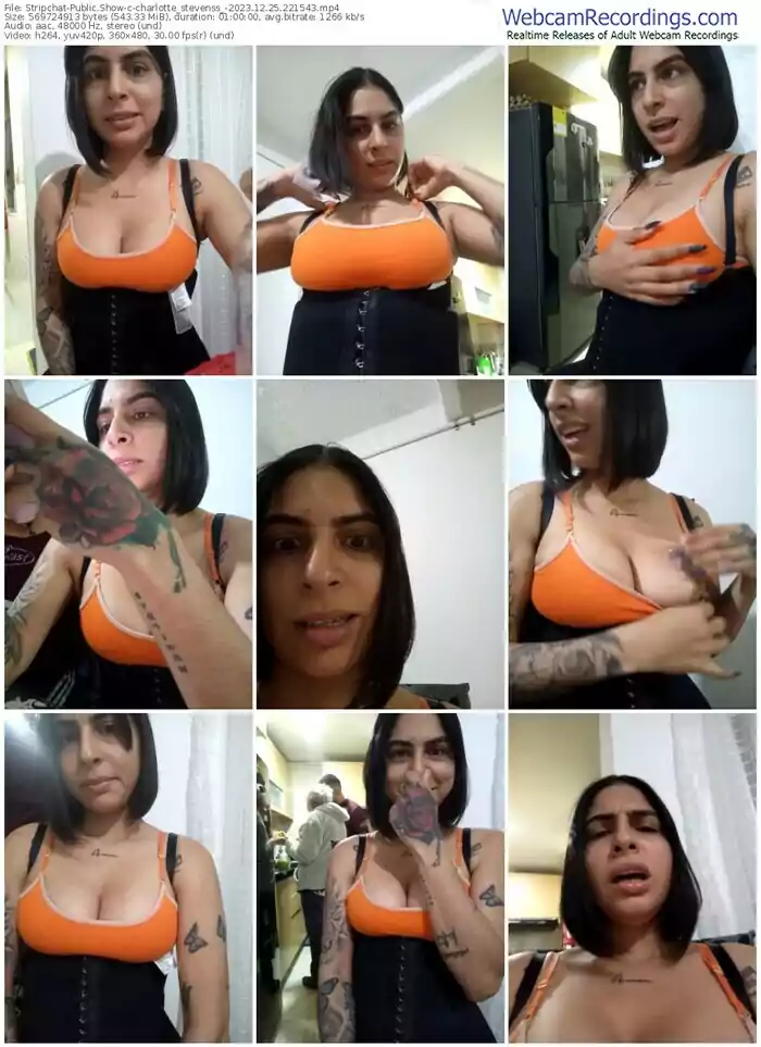 stripchat-charlotte_stevenss_-12-25-2023-22-15-43