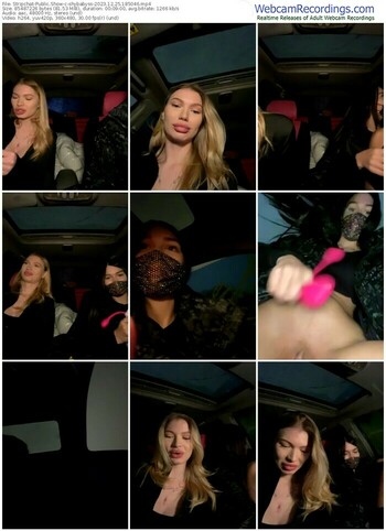 stripchat-shybabyss-12-25-2023-18-50-46