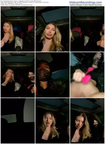 stripchat-shybabyss-12-25-2023-18-50-46