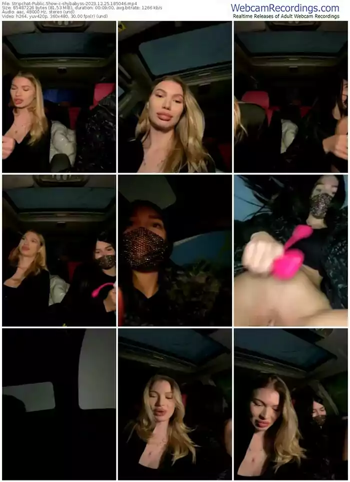 stripchat-shybabyss-12-25-2023-18-50-46