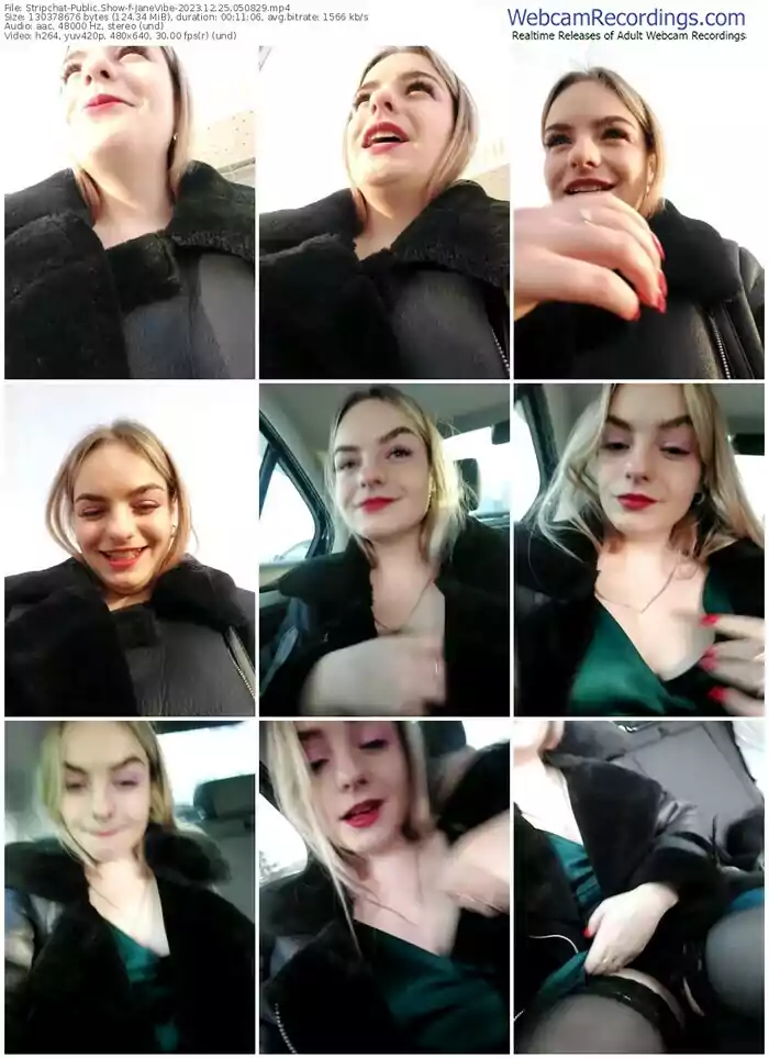 stripchat-janevibe-12-25-2023-05-08-29