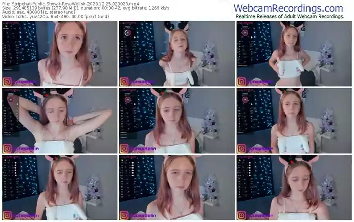 stripchat-rosewellsk-12-25-2023-02-30-23
