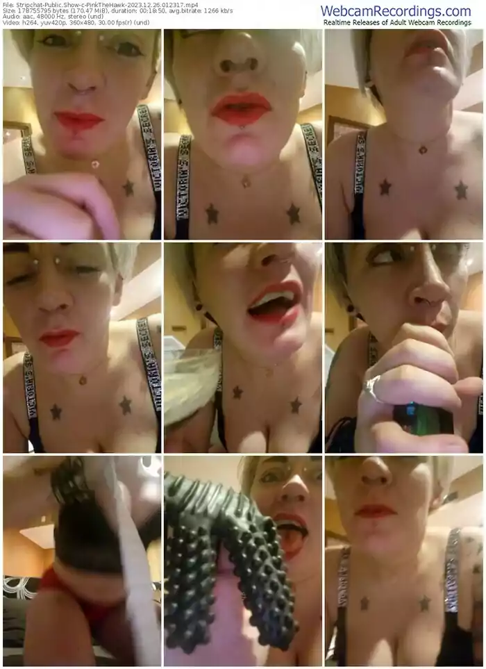 stripchat-pinkthehawk-12-26-2023-01-23-17