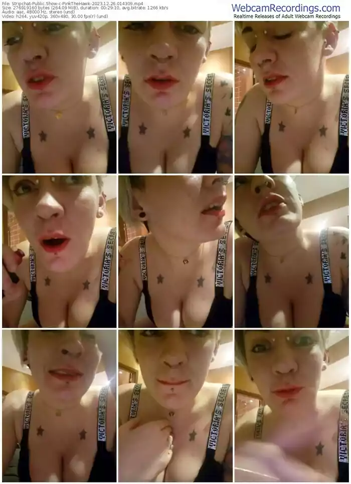 stripchat-pinkthehawk-12-26-2023-01-43-09