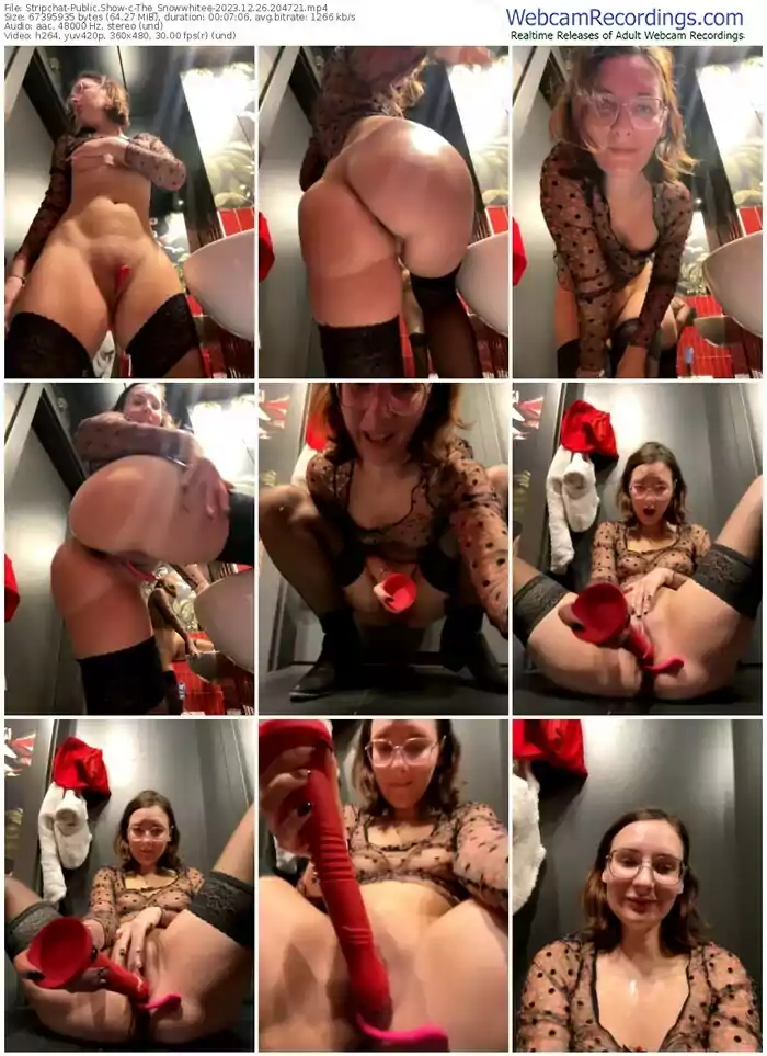 stripchat-the_snowwhitee-12-26-2023-20-47-21