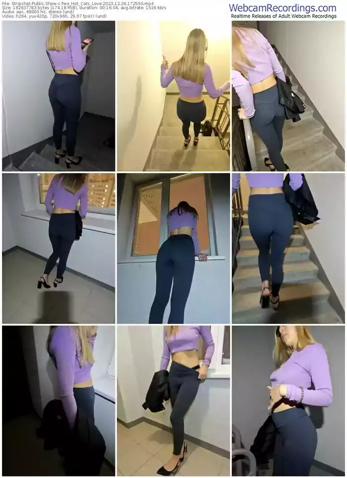 stripchat-two_hot_cats_love-12-26-2023-17-25-50