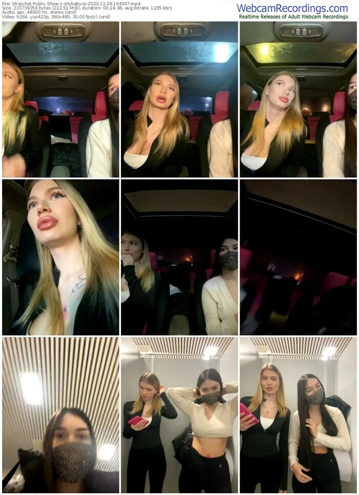stripchat-shybabyss-12-26-2023-16-43-07
