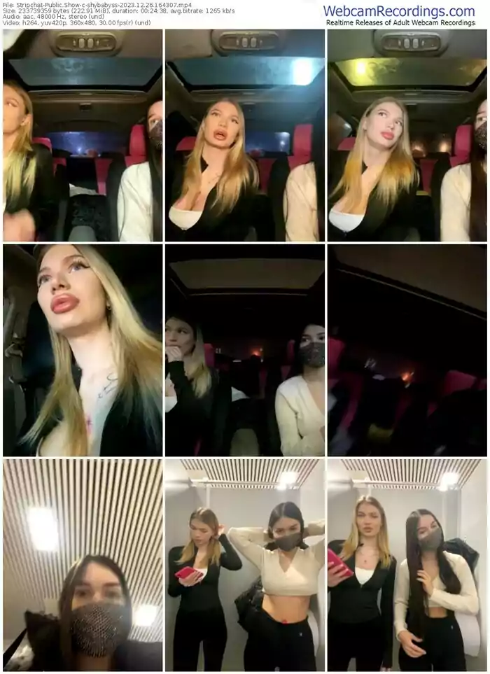 stripchat-shybabyss-12-26-2023-16-43-07