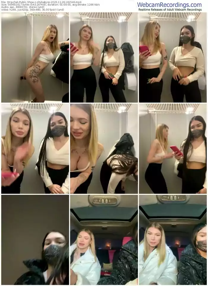 stripchat-shybabyss-12-26-2023-18-15-46