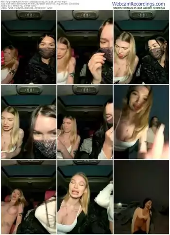 stripchat-shybabyss-12-26-2023-19-47-07