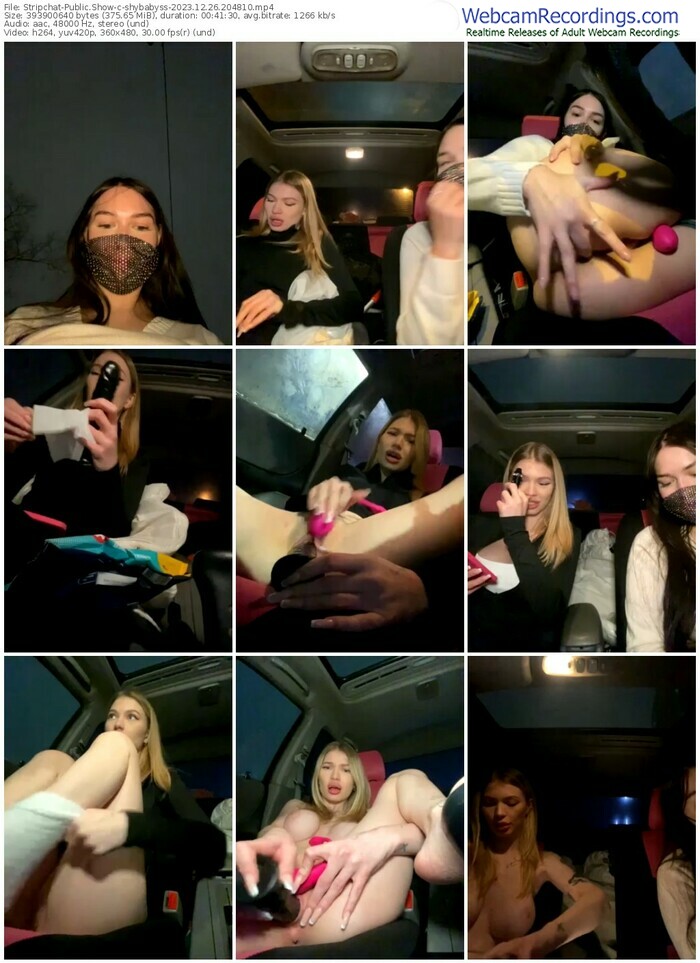 stripchat-shybabyss-12-26-2023-20-48-10