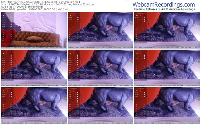 stripchat-610heizhen-12-26-2023-09-46-42