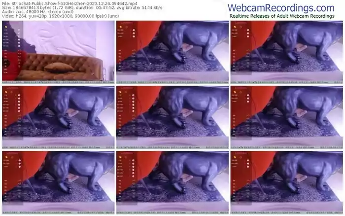 stripchat-610heizhen-12-26-2023-09-46-42