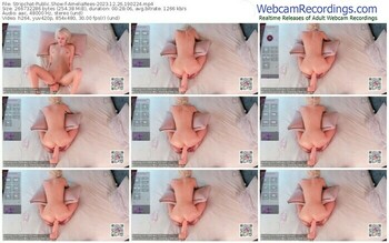 stripchat-ameliarees-12-26-2023-19-02-24
