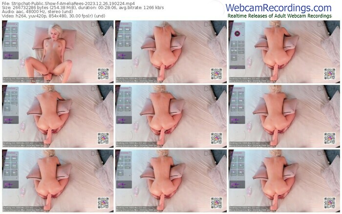 stripchat-ameliarees-12-26-2023-19-02-24