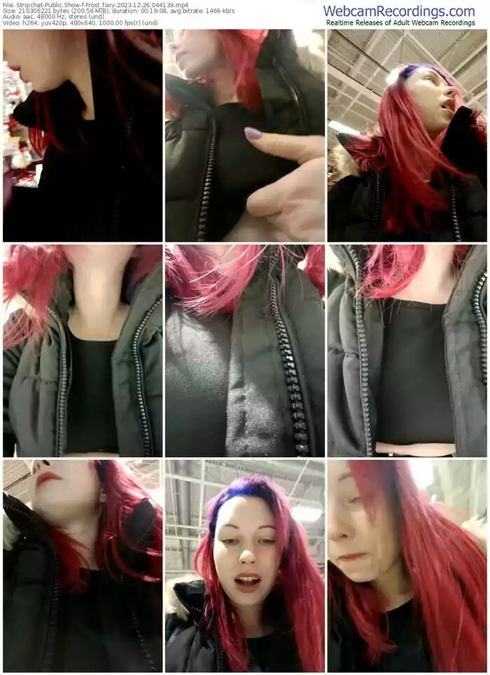 stripchat-frost_foxy-12-26-2023-04-41-39