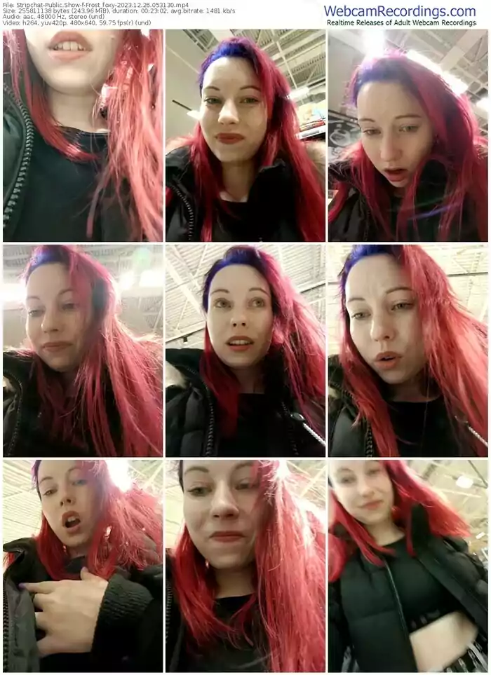 stripchat-frost_foxy-12-26-2023-05-31-30