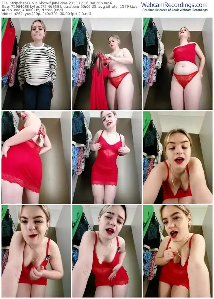stripchat-janevibe-12-26-2023-04-06-56