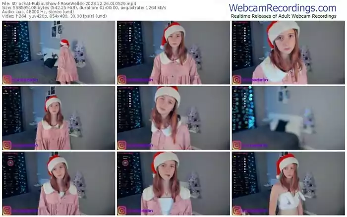 stripchat-rosewellsk-12-26-2023-01-05-29