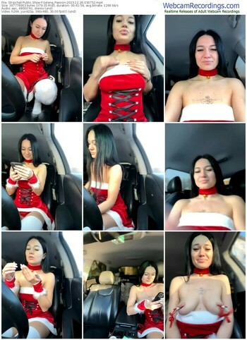 stripchat-selena_passion-12-26-2023-03-07-52