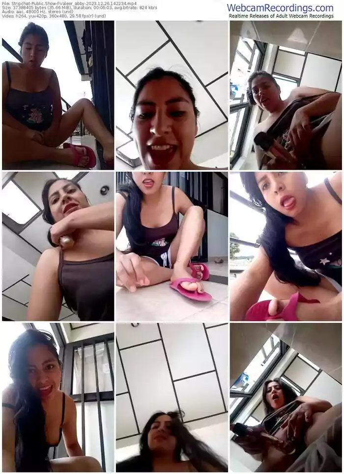 stripchat-valeer_abby-12-26-2023-14-22-34