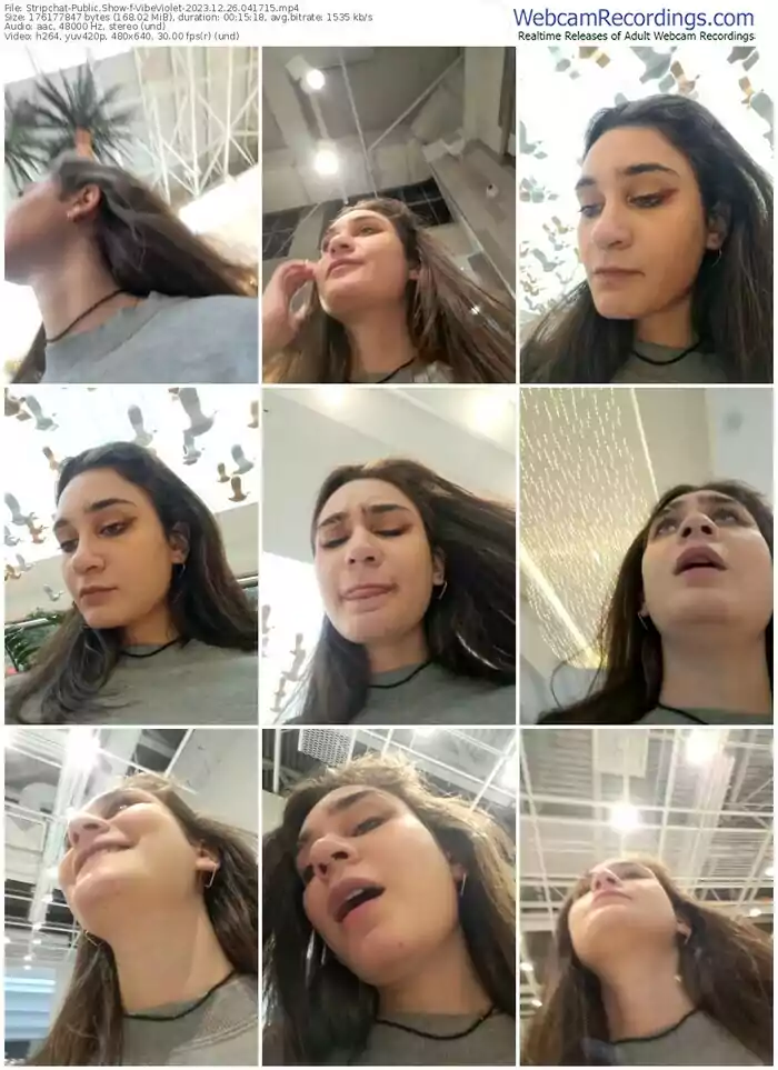 stripchat-vibeviolet-12-26-2023-04-17-15