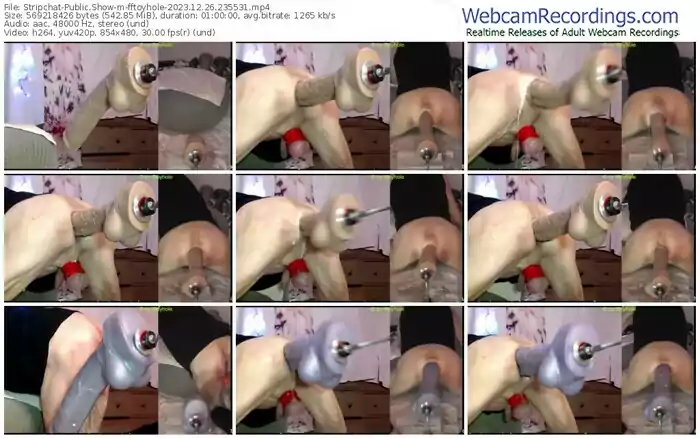 stripchat-fftoyhole-12-26-2023-23-55-31