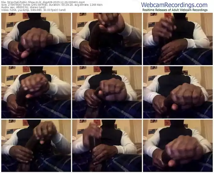 stripchat-lil_dog428-12-26-2023-09-34-01