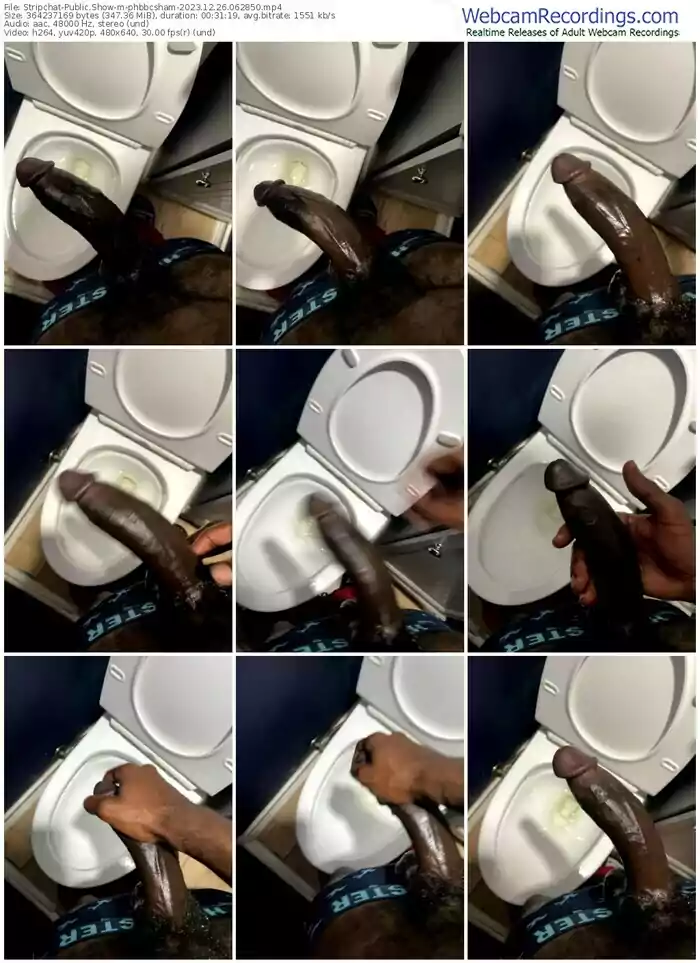 stripchat-phbbcsham-12-26-2023-06-28-50