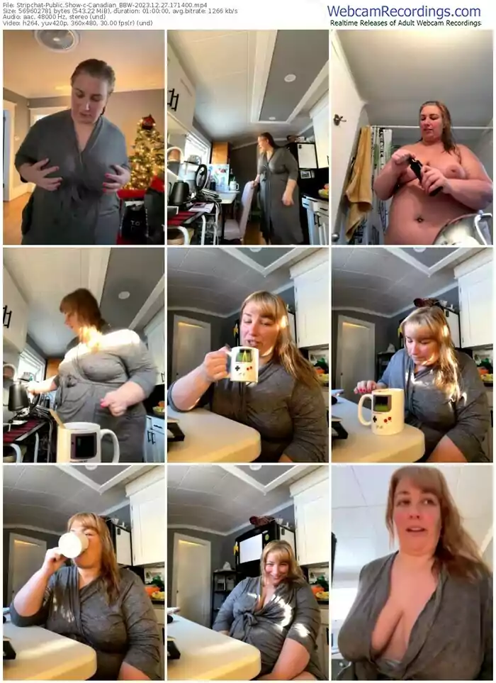stripchat-canadian_bbw-12-27-2023-17-14-00