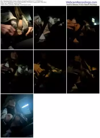 stripchat-etwas_neugierig-12-27-2023-17-47-48