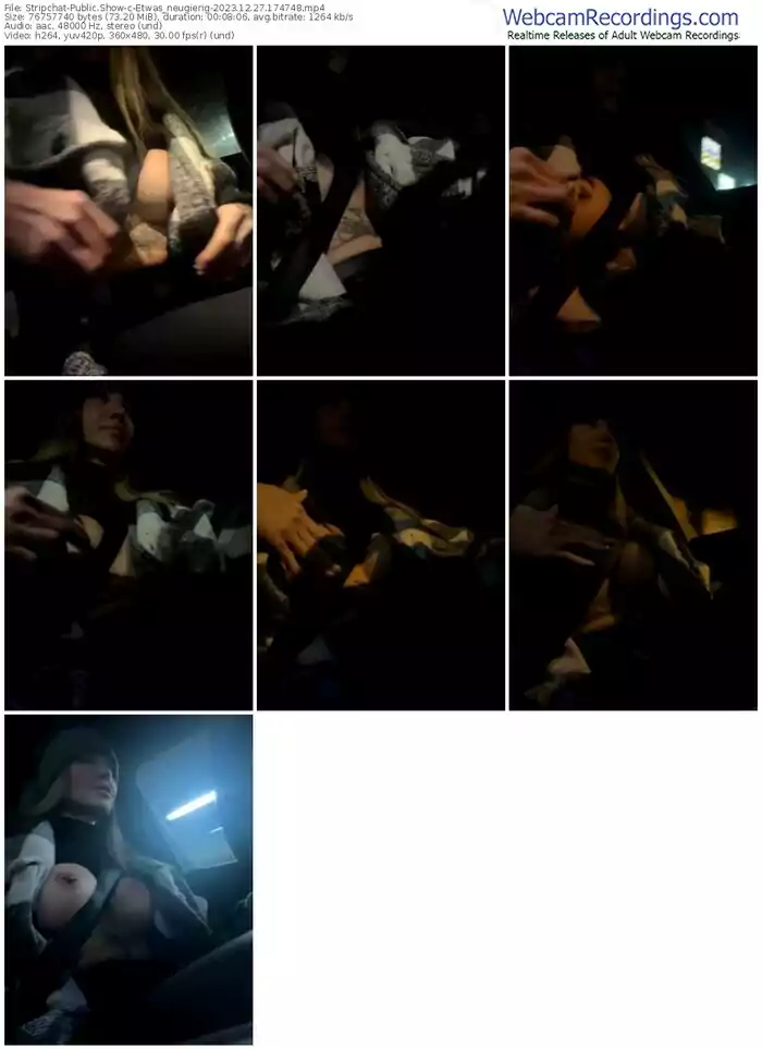 stripchat-etwas_neugierig-12-27-2023-17-47-48