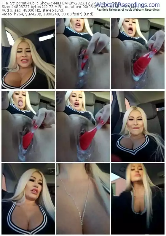 stripchat-milfbarby-12-27-2023-11-34-17