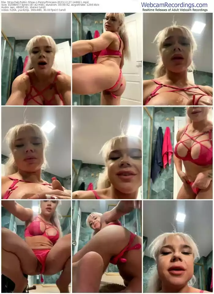stripchat-pennyprincess-12-27-2023-14-46-11