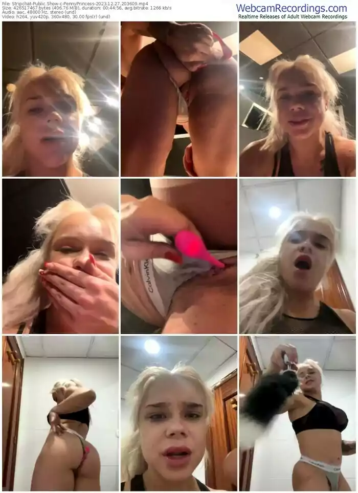 stripchat-pennyprincess-12-27-2023-20-36-09