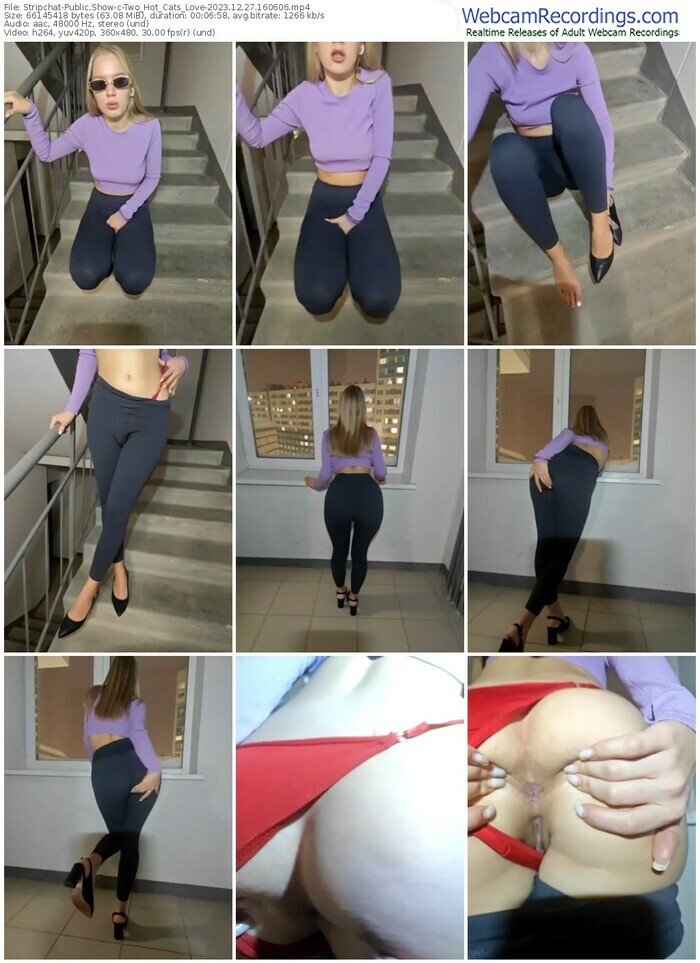 stripchat-two_hot_cats_love-12-27-2023-16-06-06