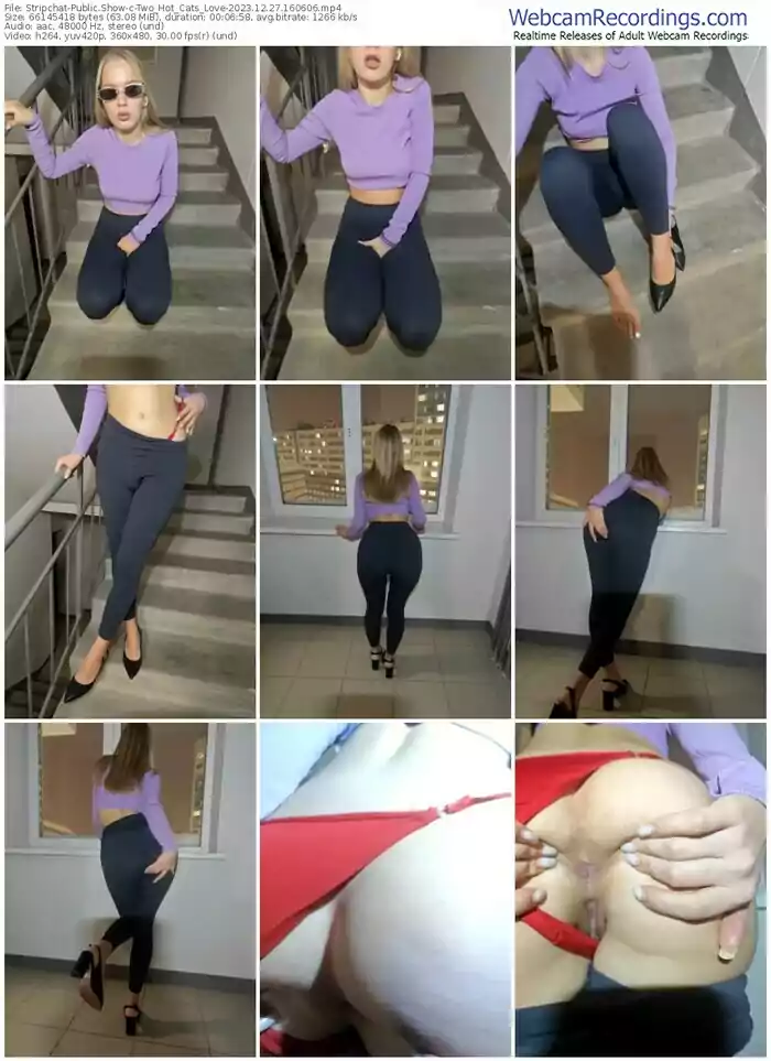 stripchat-two_hot_cats_love-12-27-2023-16-06-06