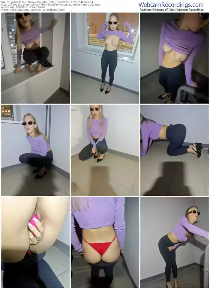 stripchat-two_hot_cats_love-12-27-2023-16-44-00