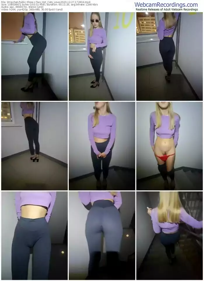 stripchat-two_hot_cats_love-12-27-2023-17-24-04
