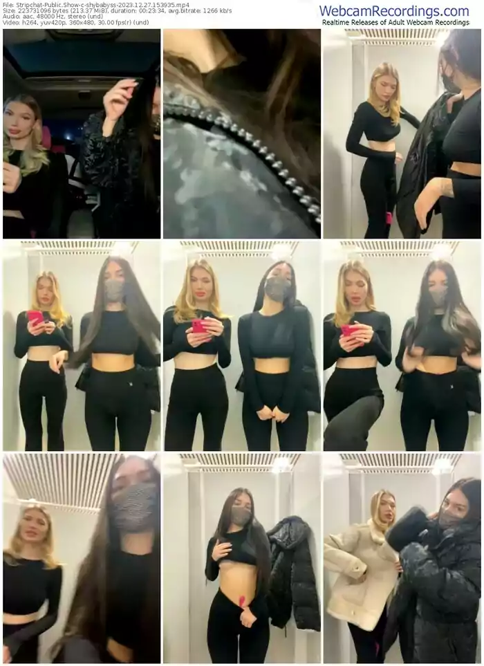stripchat-shybabyss-12-27-2023-15-39-35