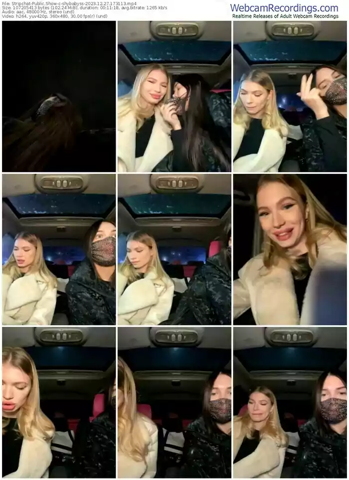 stripchat-shybabyss-12-27-2023-17-31-13