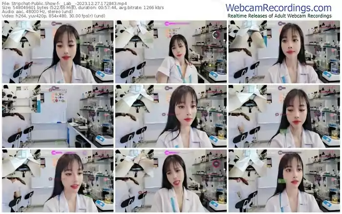 stripchat-__lab__-12-27-2023-17-28-43