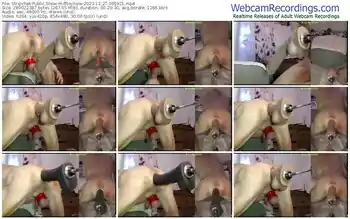 stripchat-fftoyhole-12-27-2023-06-59-21