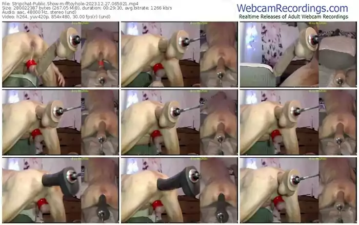 stripchat-fftoyhole-12-27-2023-06-59-21