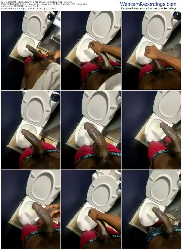 stripchat-phbbcsham-12-27-2023-01-16-15