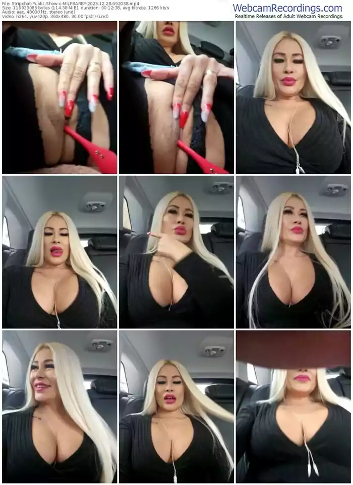 stripchat-milfbarby-12-28-2023-09-20-38